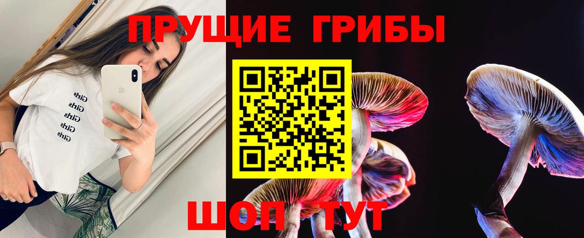 Галлюциногенные грибы Cubensis  Галлюциногенные грибы GOLDEN TEACHER  Белая Калитва  наркотики  Вход с VPN 
